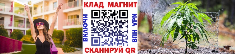 Купить наркоту Алзамай Псилоцибиновые грибы Гашиш