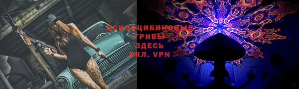 амф Алзамай