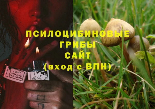 сатива Алексин