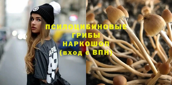 сатива Алексин