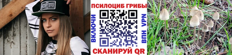 Галлюциногенные грибы ЛСД  цены   Алзамай 